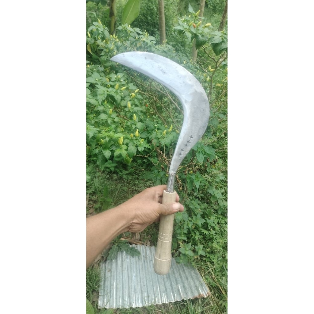 Jual sabit rumput alat berkebun cap bintang lima | Shopee Indonesia