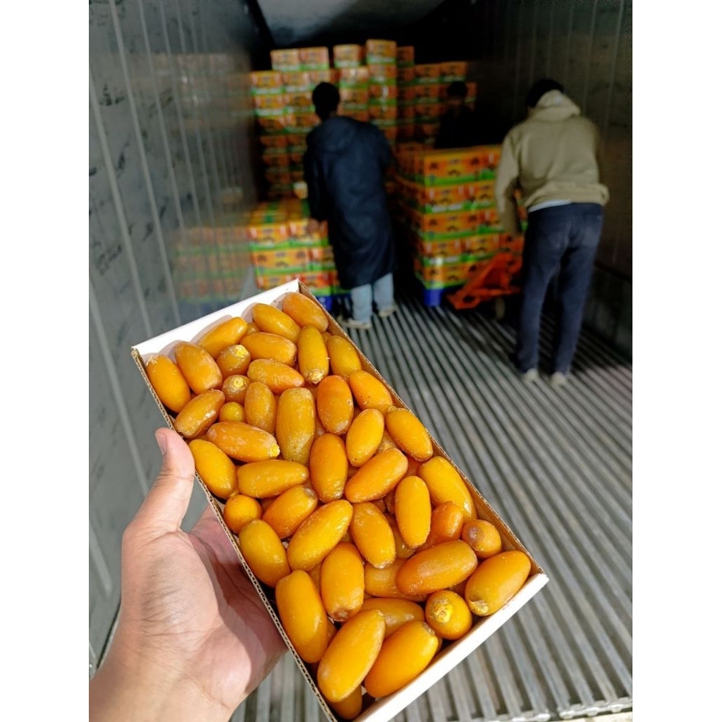 Jual KURMA RUTHOB LIBYA - LUXURY DATES - PREMIUM 1KG - PANEN TERBARU ...
