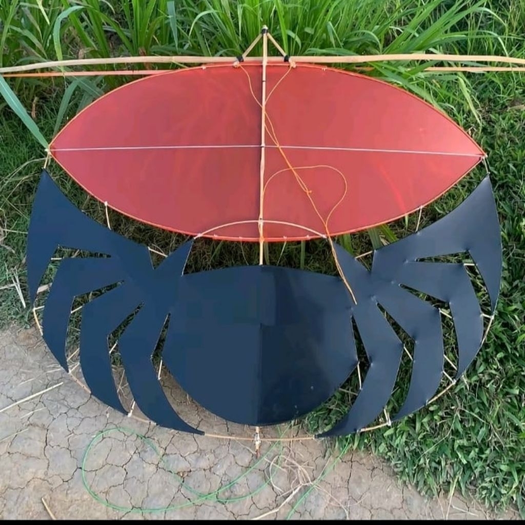 Jual layangan Ramraman spider ukuran 1, 20cm bonus sendaren | Shopee ...