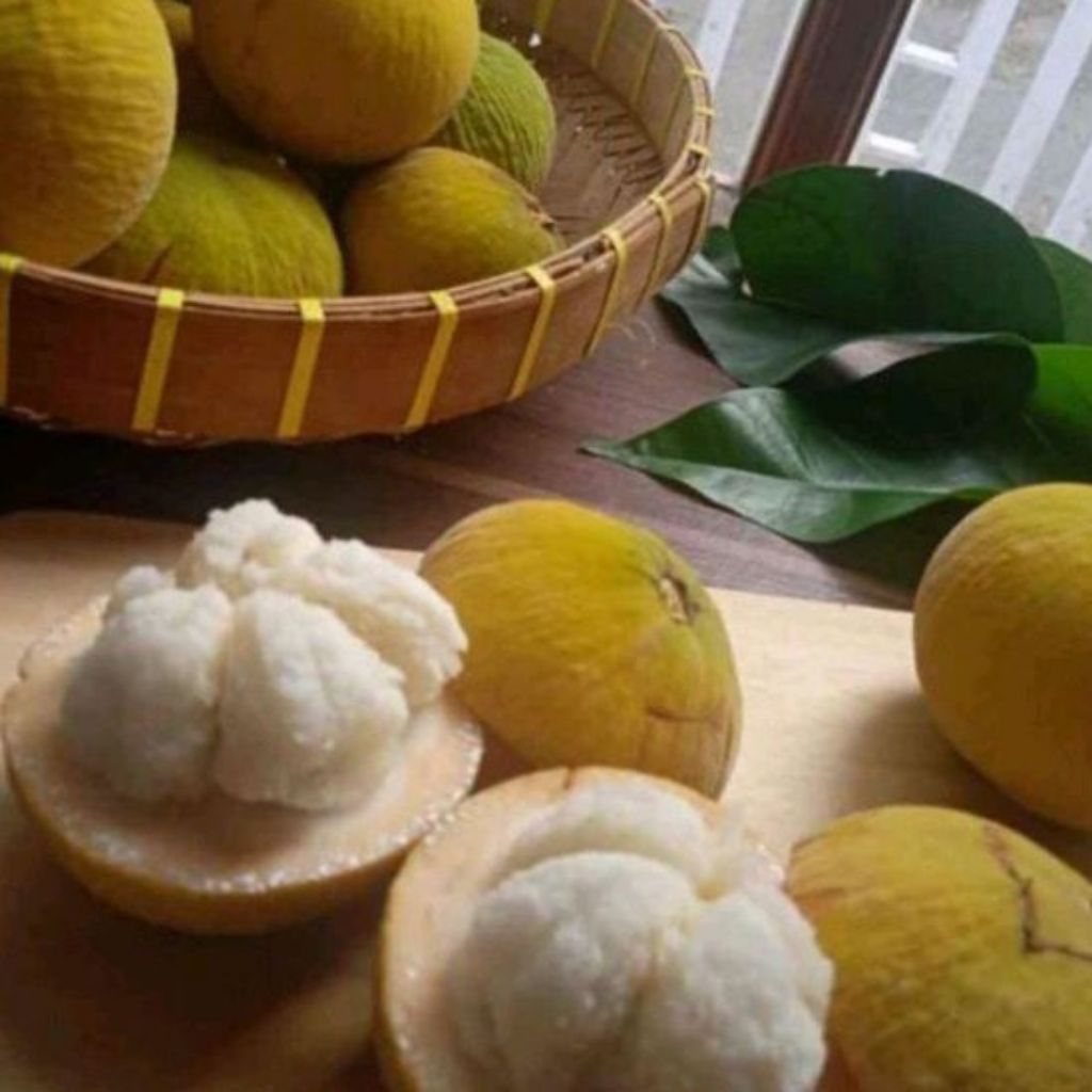 Jual kecapi 1 kg fresh | Shopee Indonesia