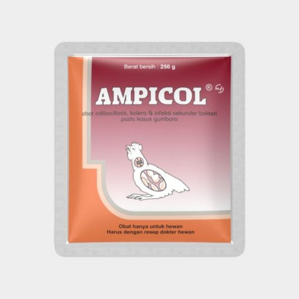 Jual Ampicol 100 gr & 250 gr | Shopee Indonesia