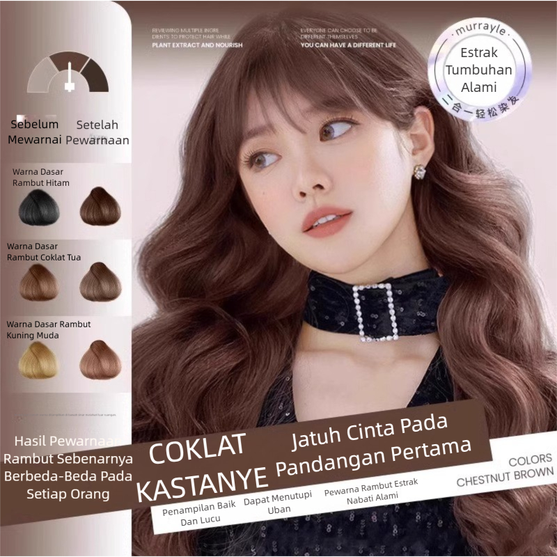 Jual Pewarna Rambut Sisir 300ml - Hair Coloring Cream Alami | Pewarna ...