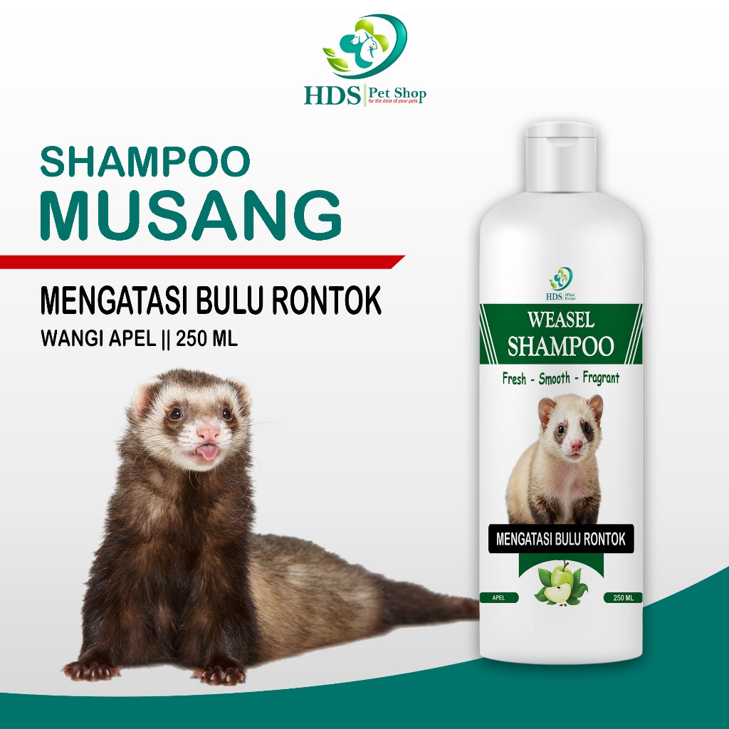 Jual Shampoo Musang Rasa Apel Anti Rontok Bulu Wangi Tahan Lama ...