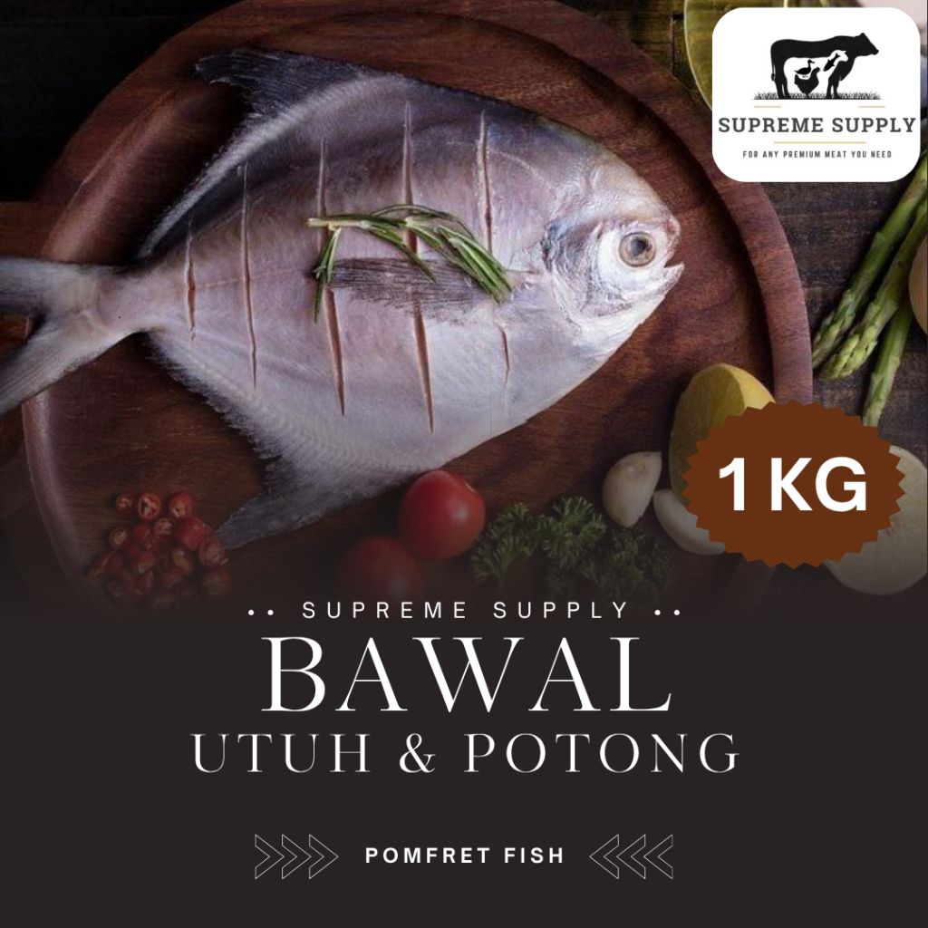 Jual PREMIUM Ikan Bawal 1 kg | Fresh Halal Organic Pomfret Fish | Ikan ...