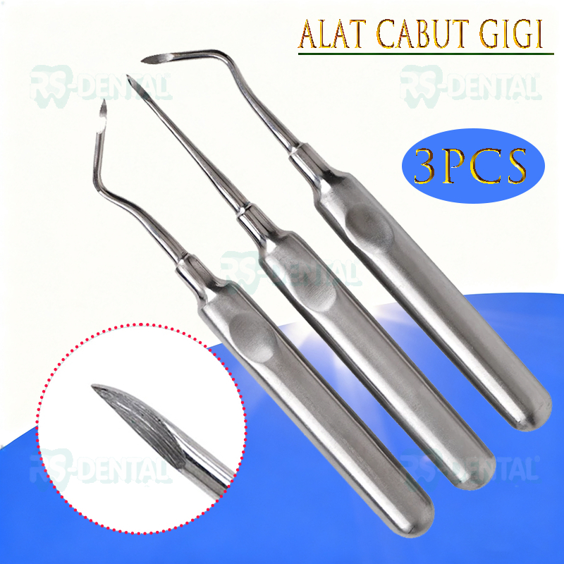 Jual 3pcs Dental elevator tooth extraction instrument / dental bein set ...