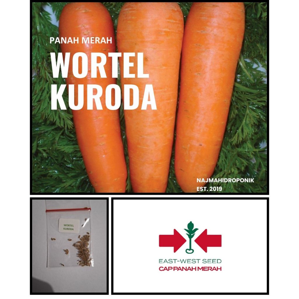 75 Butir Benih Sayuran Wortel Kuroda Repacking (Panah Merah)