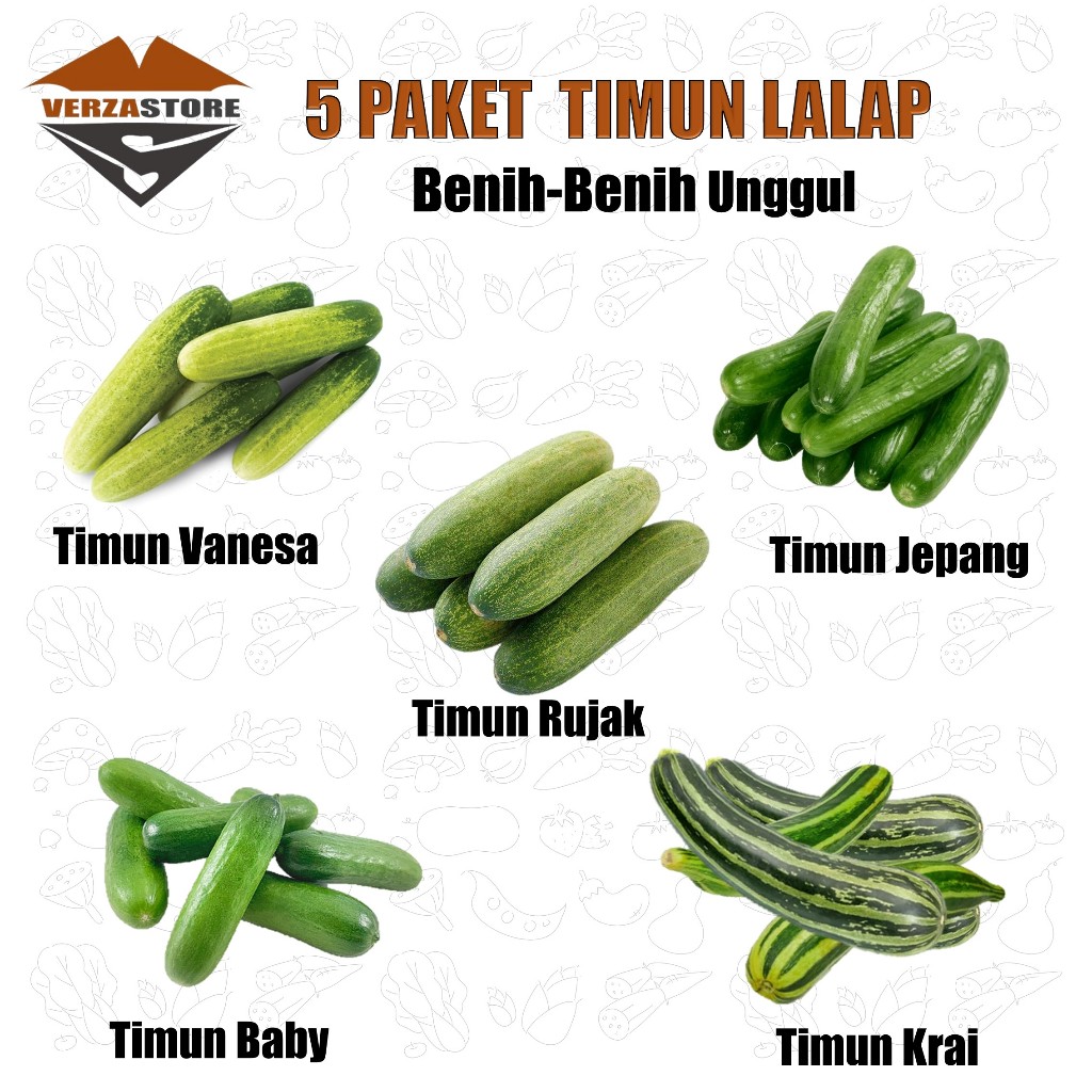 Biji Benih Paket 5 Macam Bibit Sayuran Timun Mentimun Unggul