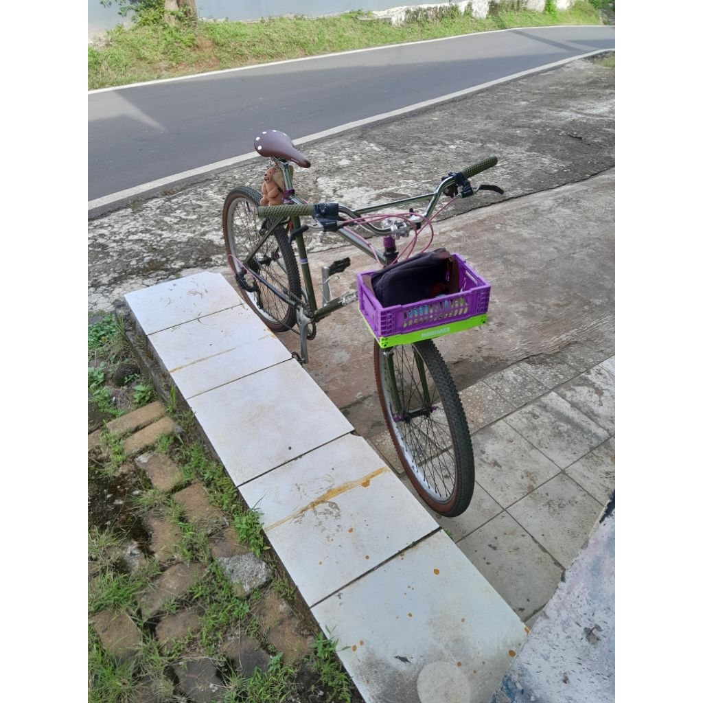 Jual sepeda Mtb commuter raleigh not federal | Shopee Indonesia