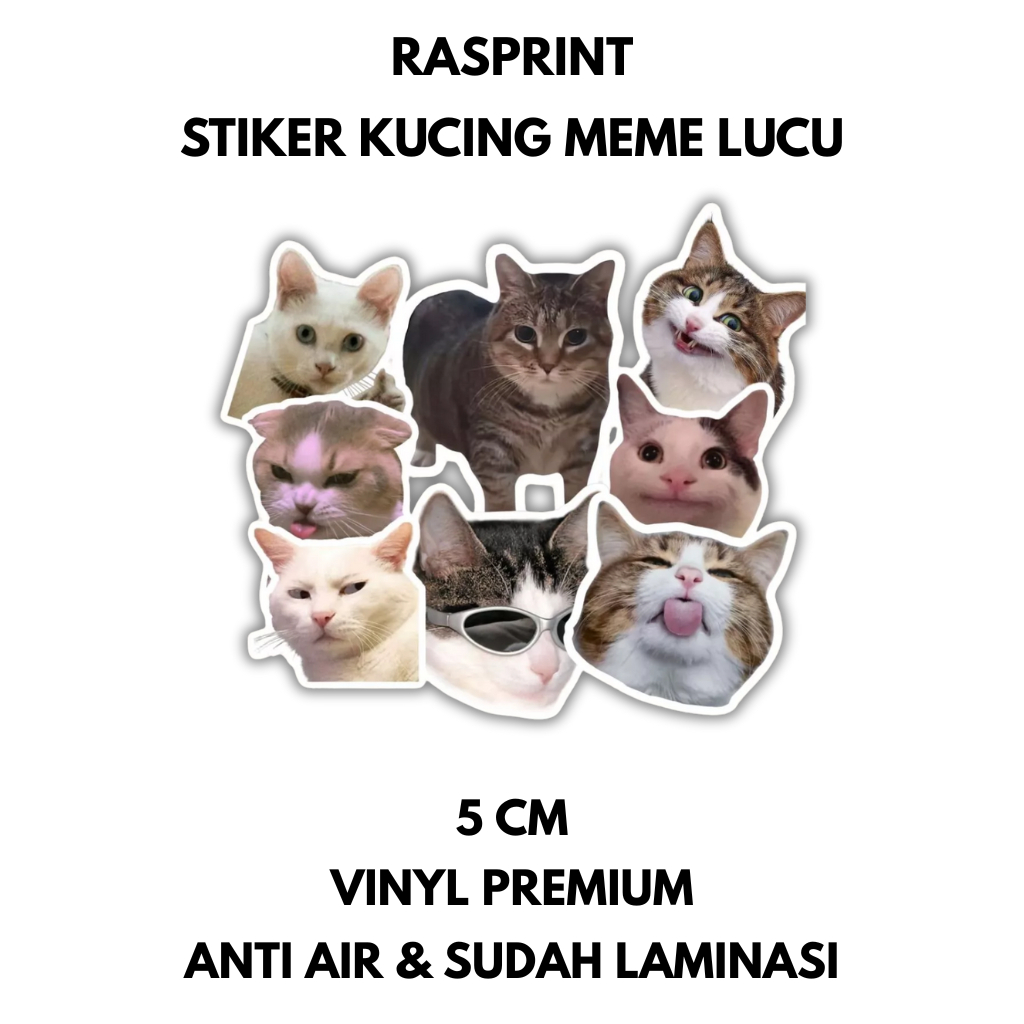Jual STICKER KUCING MEME LUCU AESTHETIC BRAND ANTI AIR VINYL STIKER ...
