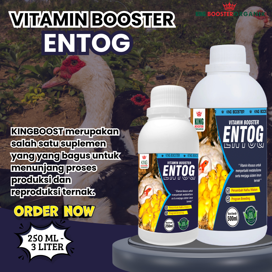 Jual Vitamin ENTOG / ENTOK , Mempercepat Pertumbuhan, Tumbuh Cepat ...