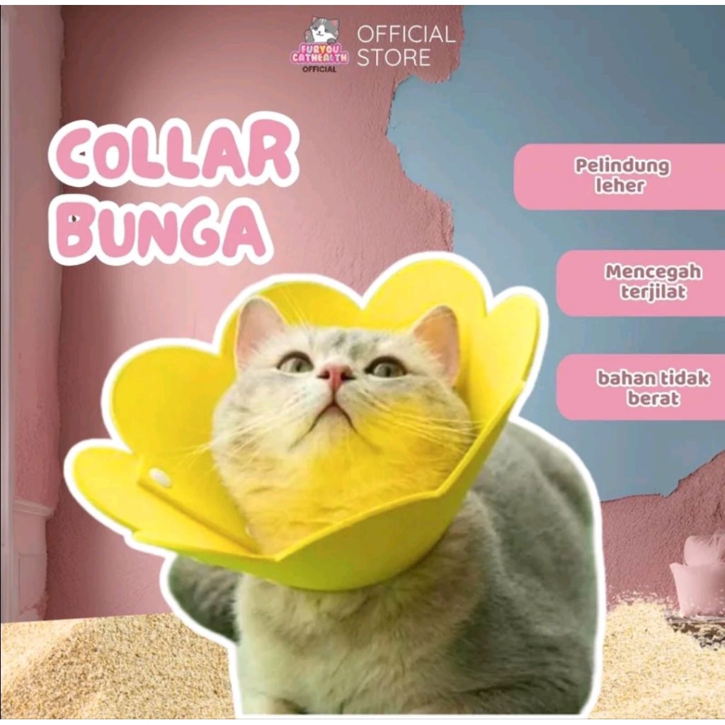 Jual Furyou pet collar EVA BUNGA anabul | Shopee Indonesia