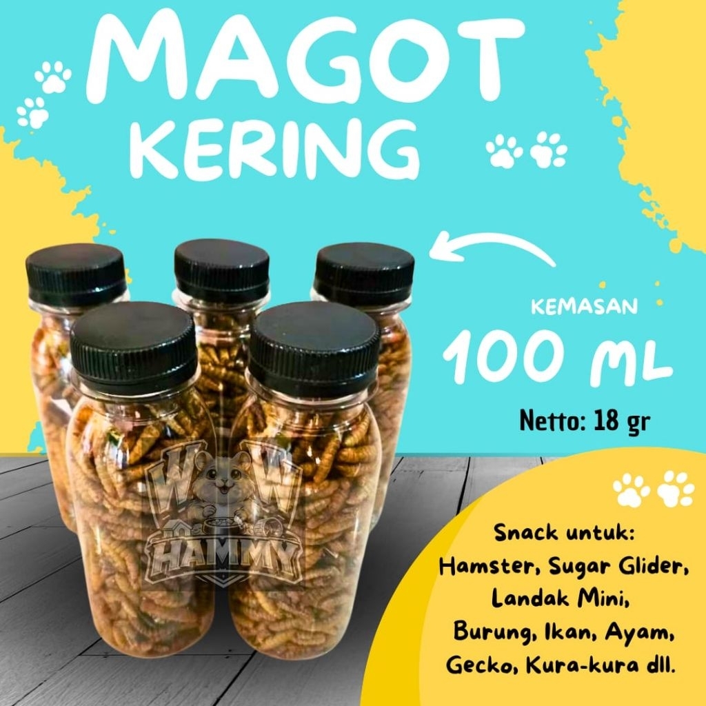 Jual Magot Terlengkap & Harga Terbaru Juli 2026 | Shopee Indonesia