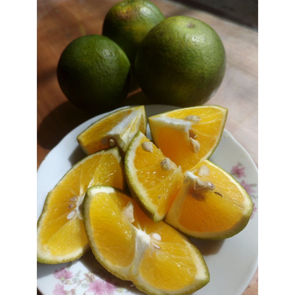 Jual Jeruk manis baby java iris KECIL 1kg terdiri 5-7 biji | Shopee ...