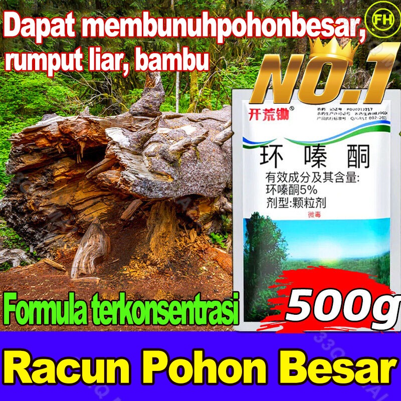 Kill Tree Hexazenione