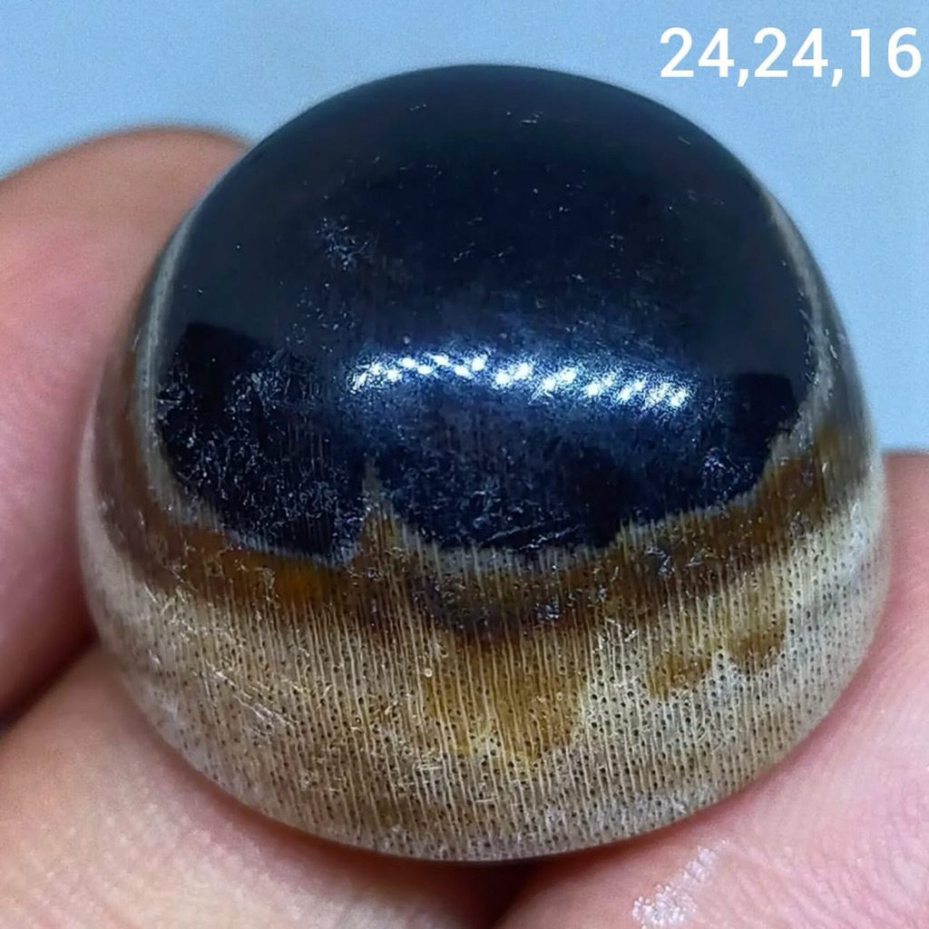 Jual batu akik asli puser vosil kelor antik top hq natural (asli alam ...