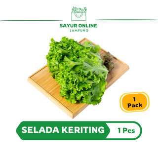 Selada / Daun Selada