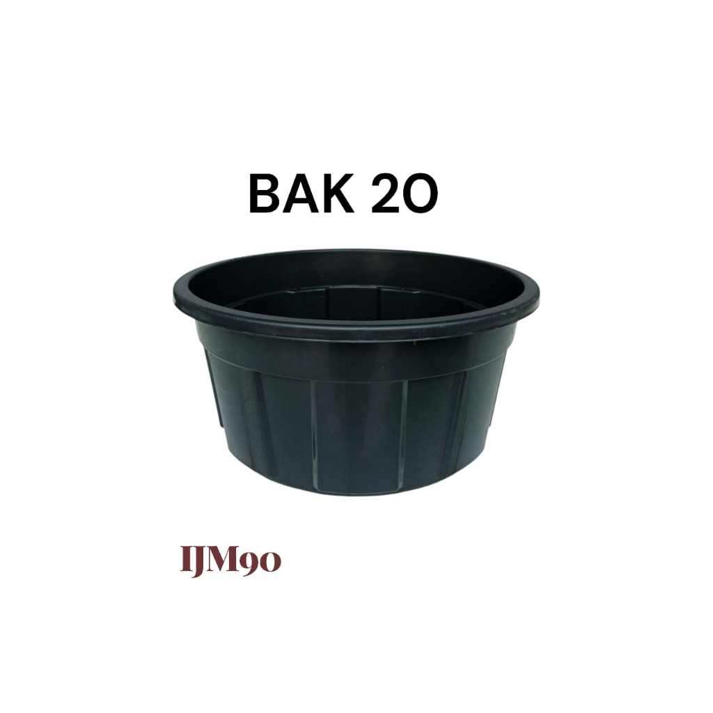 Bak