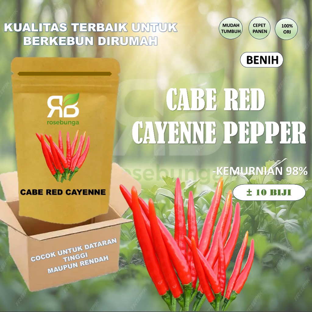 Jual ISI PAKET 10 Biji Benih Cabe RED CAYENNE Pepper Sayuran Cabai ...