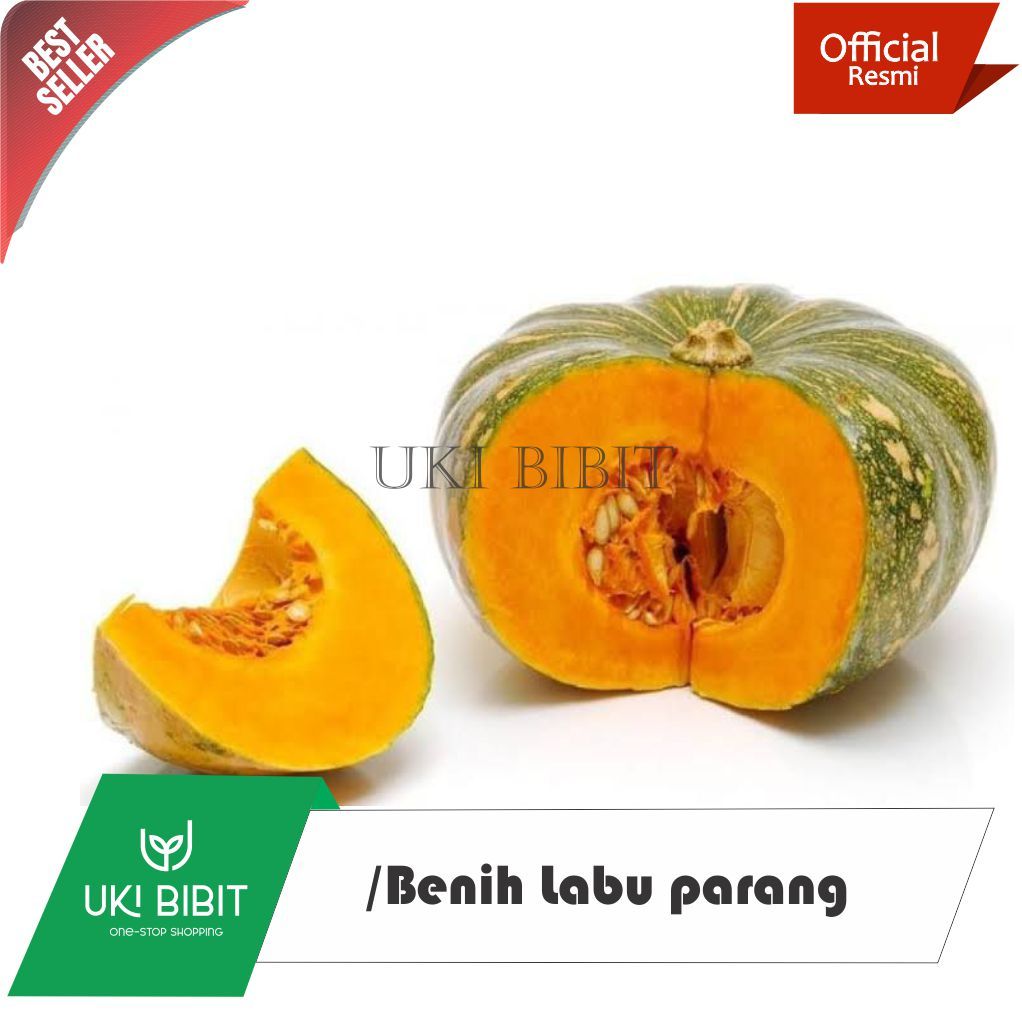 Jual ( 10 Butir ) Benih Biji Labu Parang | Labu kuning | Waluh Besar ...