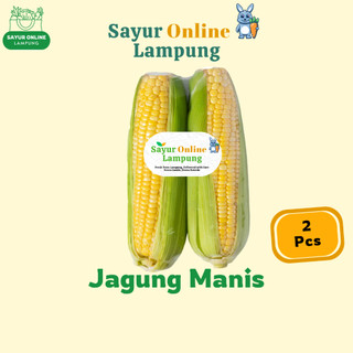 Jagung Manis Organik