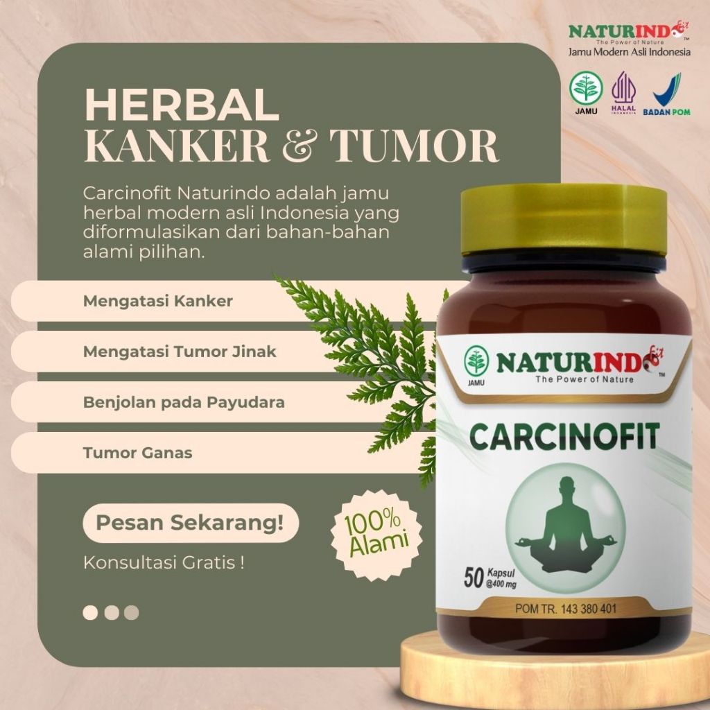 Obat Herbal Kanker Payudara Naturindo