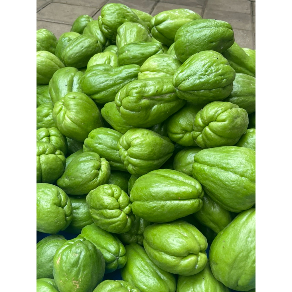 Jual LABU SIAM / LEJET FRESH SEGAR CISARUA KBB LANGSUNG DARI KEBUN ...