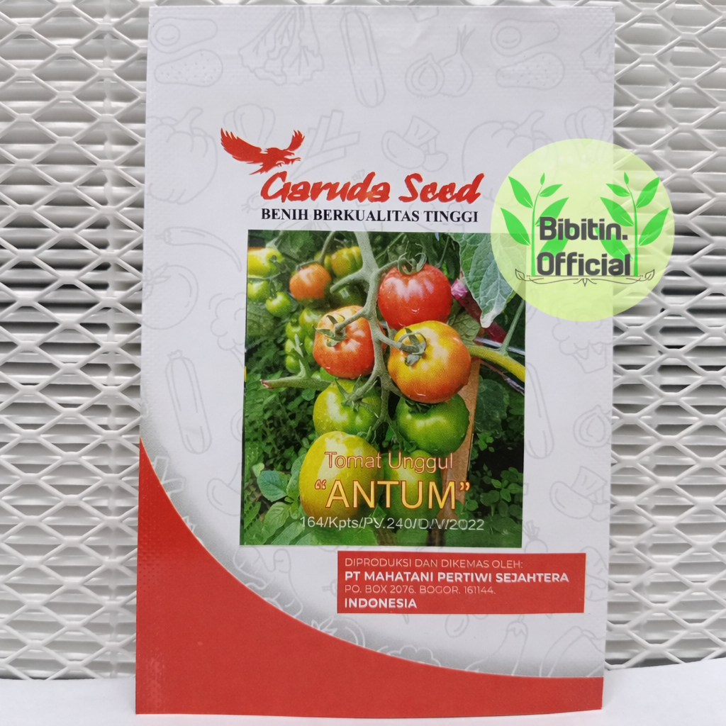 0,5 GRAM - BENIH BIBIT TOMAT SAYUR "ANTUM" - SMALL PACK GARUDA SEED
