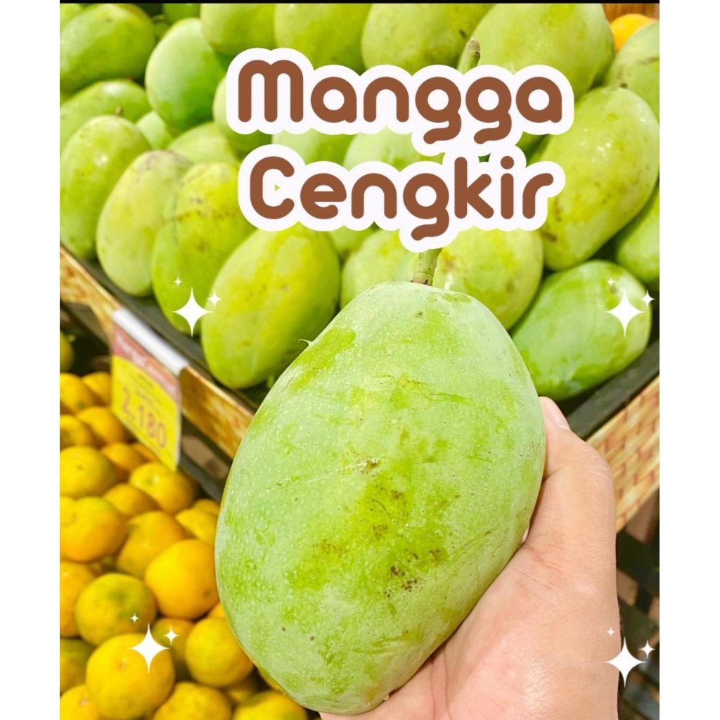Jual buah mangga cengkir 1 kg | Shopee Indonesia