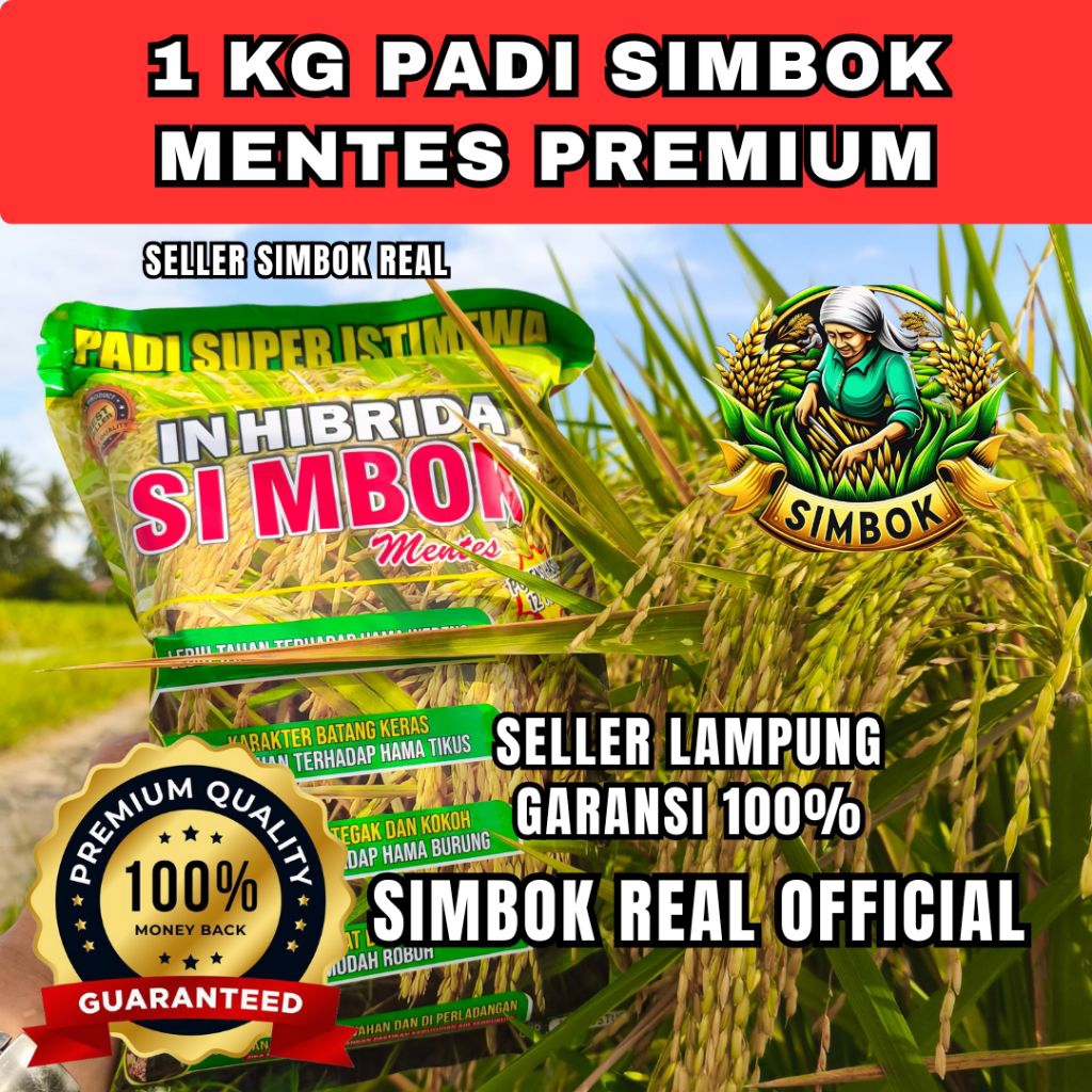 Jual (1KG) SIMBOK MENTES PREMIUM MASA PANEN 95-110 HST | Shopee Indonesia