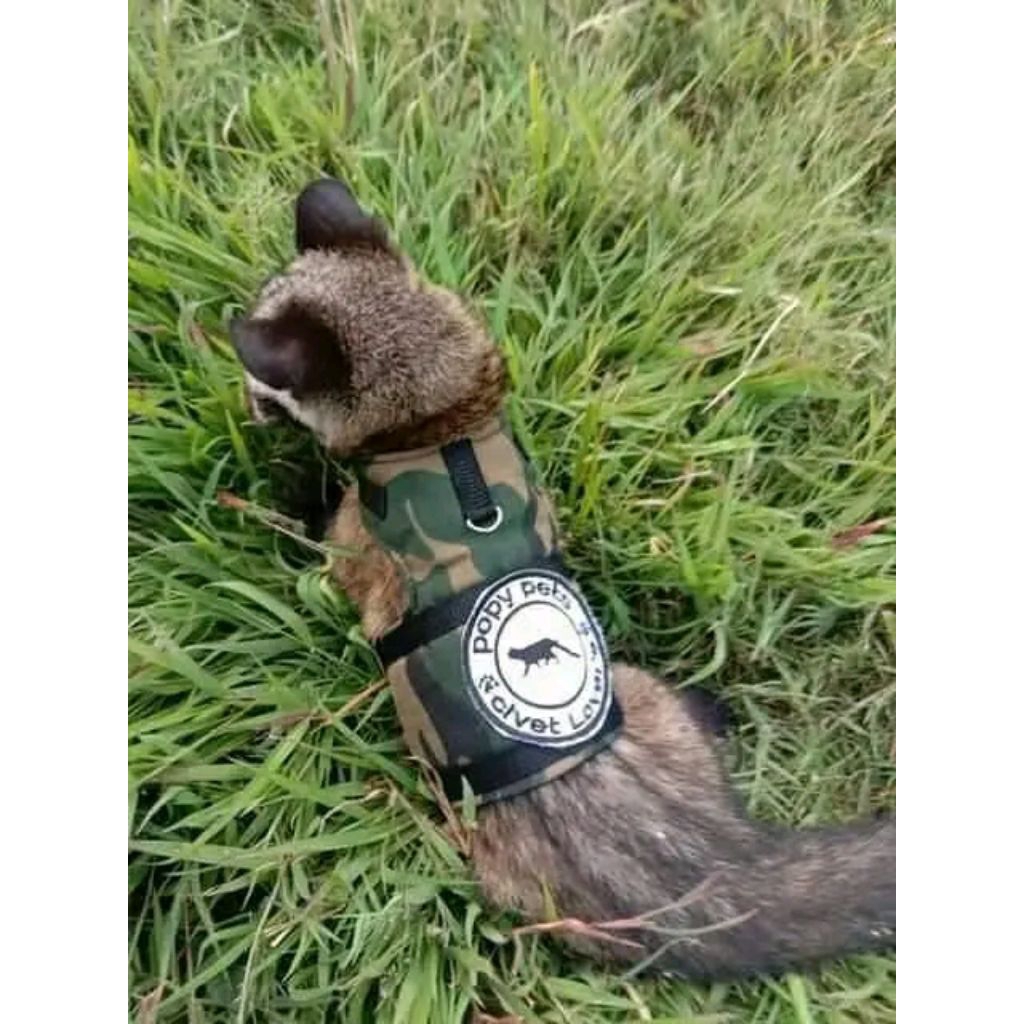 Jual Harnes Rompi Musang & Otter | Shopee Indonesia