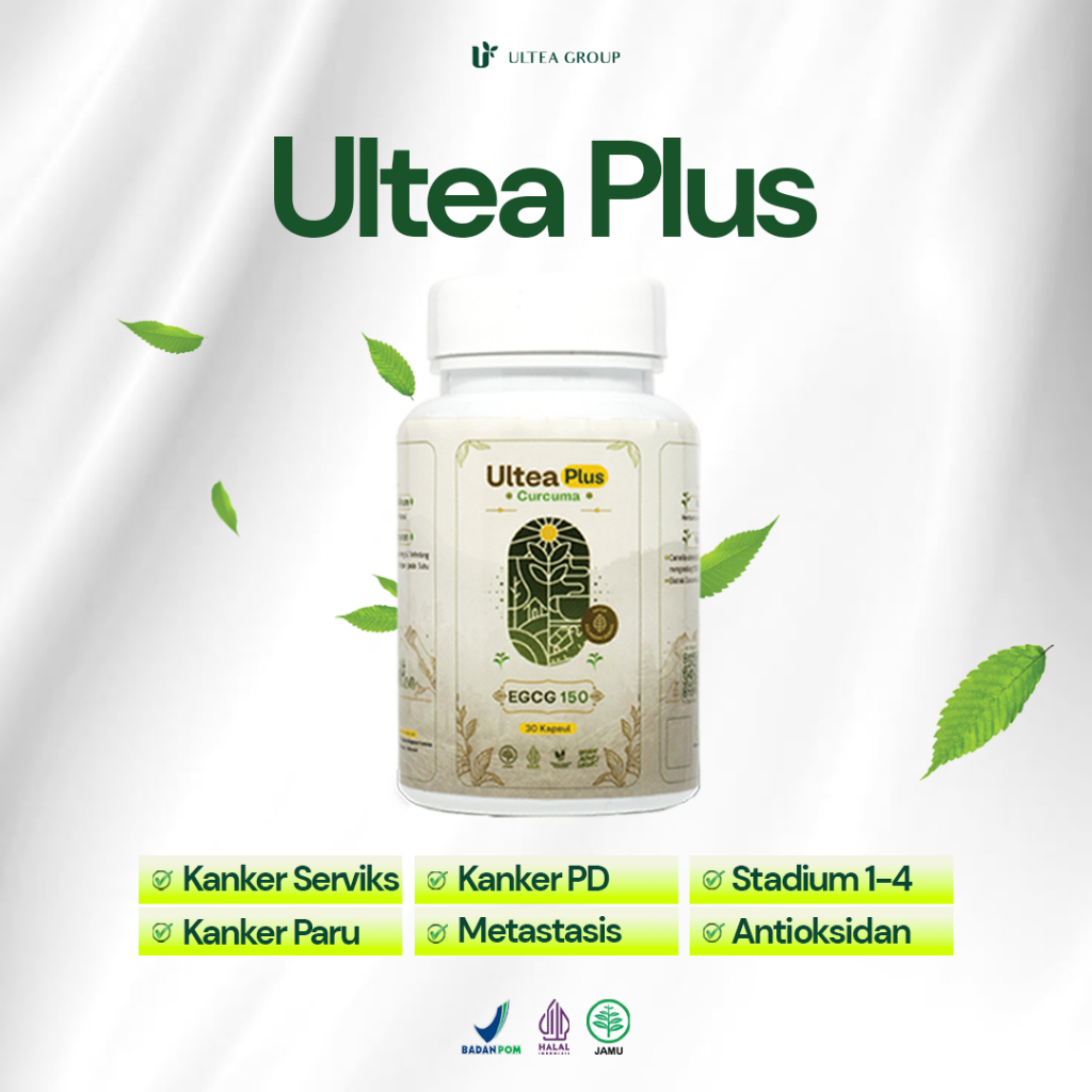 ULTEA PLUS UNTUK ANTI KANKER, METASTASIS, PENDAMPINGAN KEMOTERAPI
