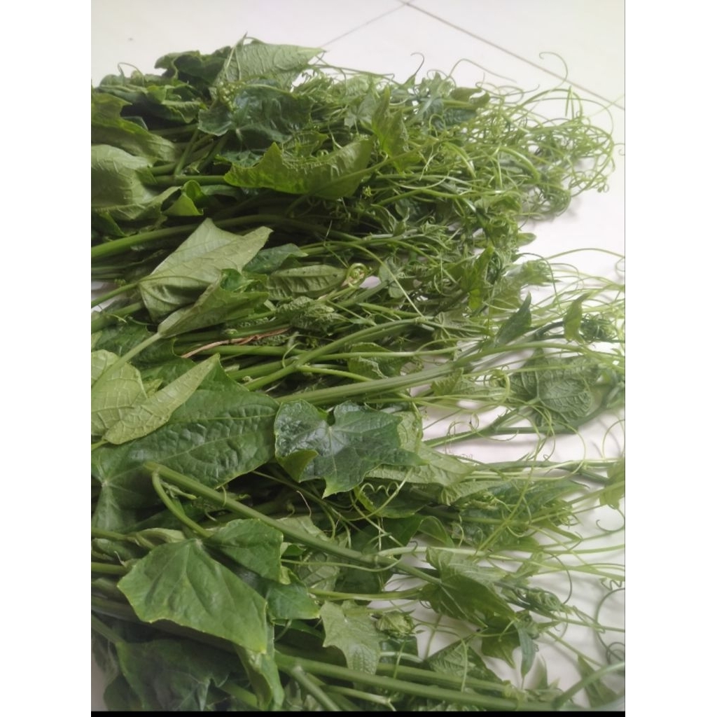 Jual Sayur Pucuk daun labu siam jipang sayur daun 300gr labu segar ...