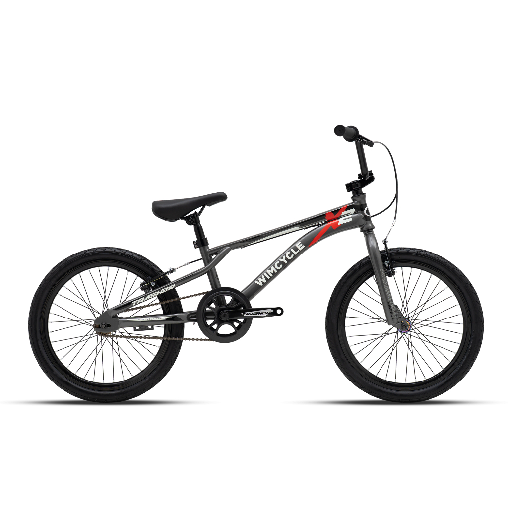 Jual Sepeda Anak BMX 20