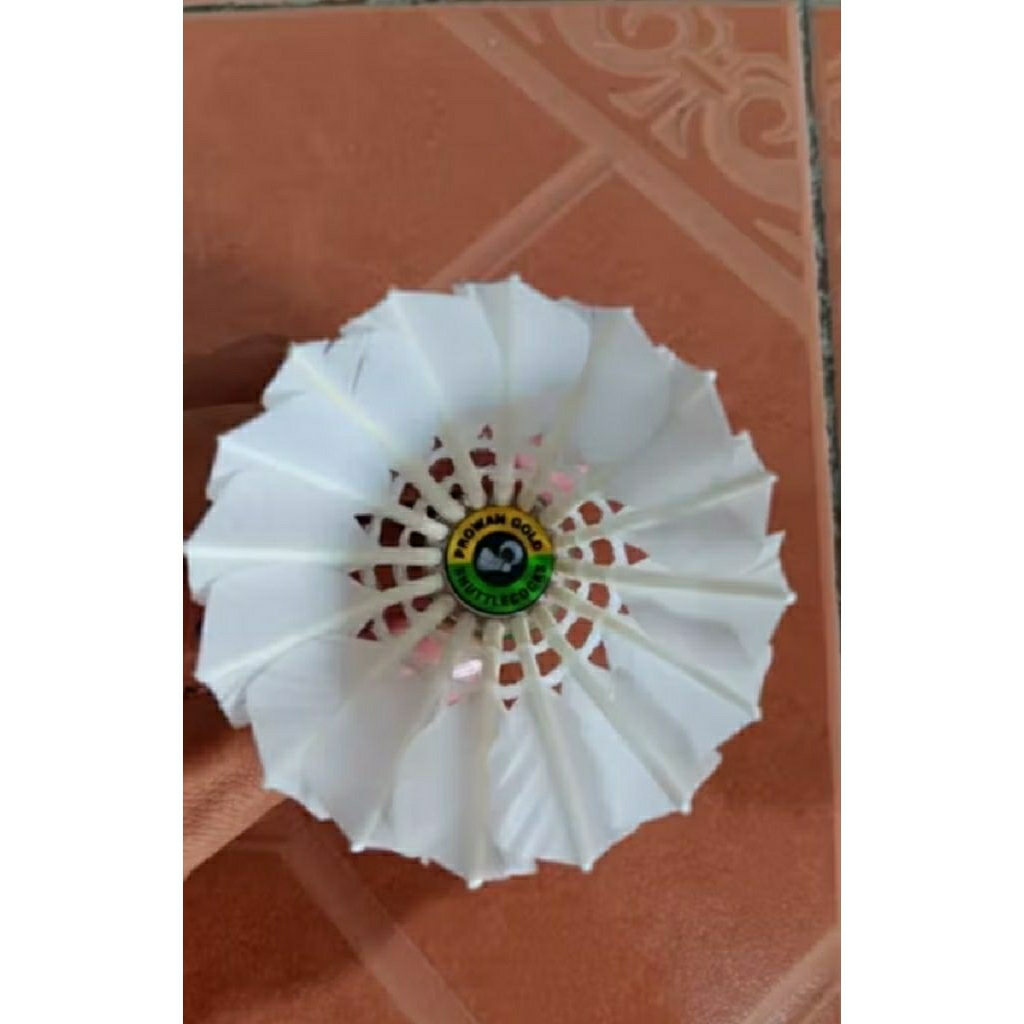 Jual cock PROWAN GolD shuttlecock berkualitas | Shopee Indonesia