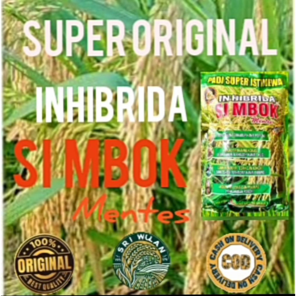 Jual SIMBOK MENTES BENIH PADI KUALITAS SUPER ORIGINAL KEMASAN 1KG ...