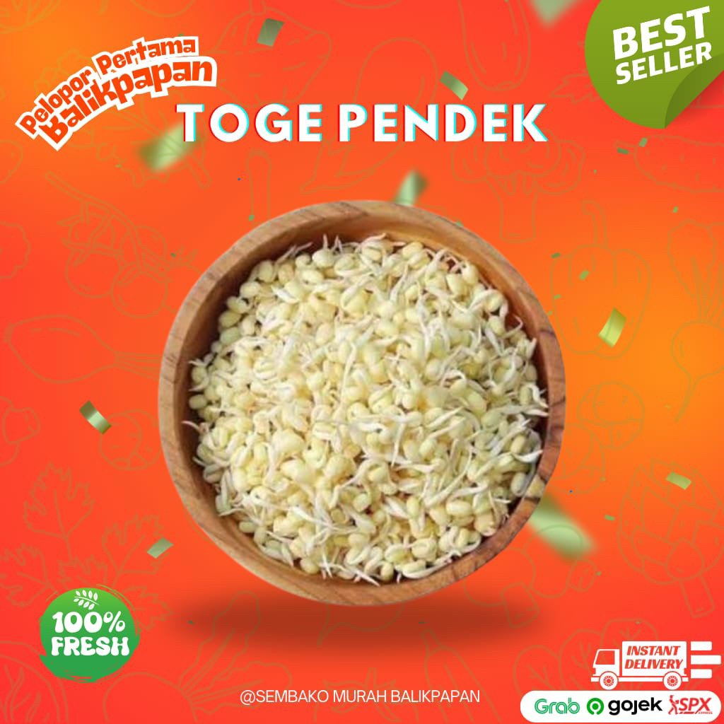 Jual Toge Terlengkap & Harga Terbaru Juli 2026 | Shopee Indonesia