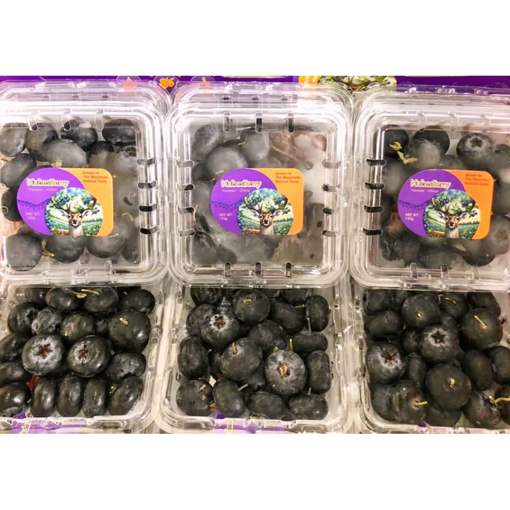 Jual blueberry rrc nubes | Shopee Indonesia