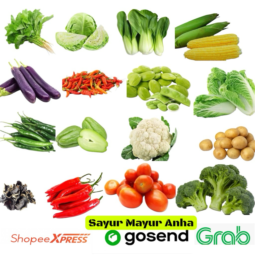 Jual Labu Siam Terlengkap & Harga Terbaru Juli 2026 | Shopee Indonesia