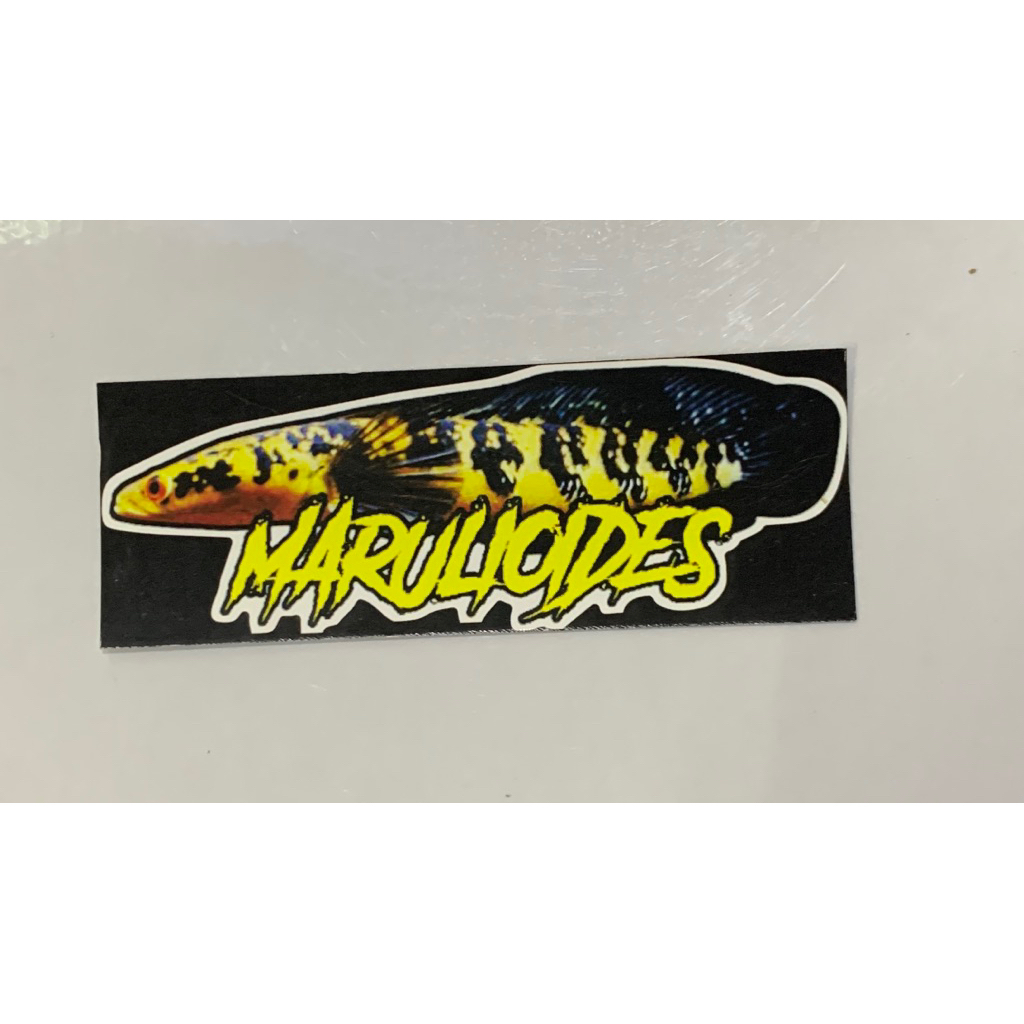 Jual STIKER BAR RAPI TEBAL | Shopee Indonesia