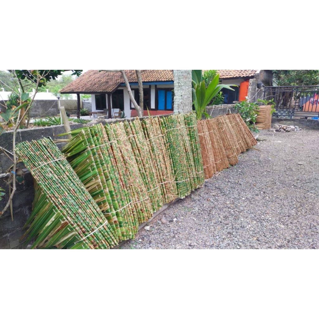 Jual Atap rumbia per 1 pcs atap dahon super berkualitas tinggi | Shopee ...