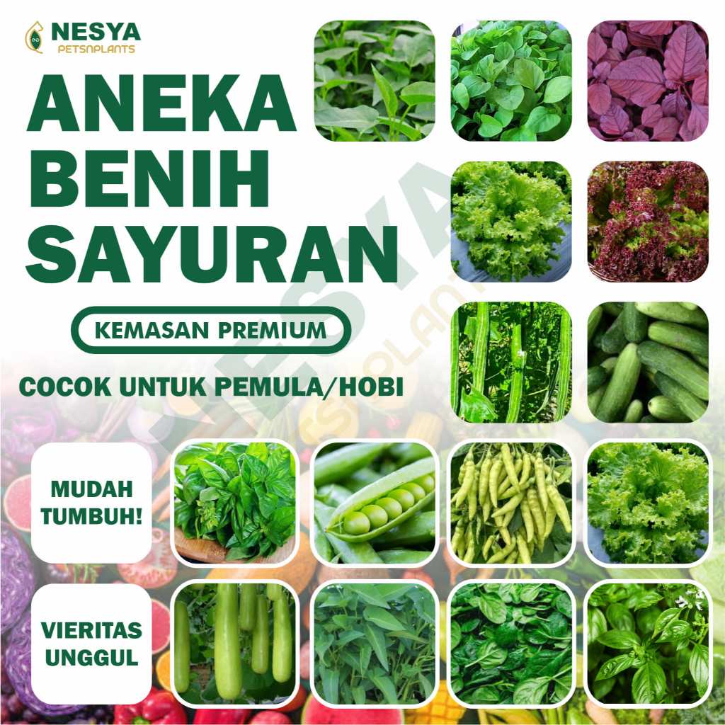 Benih Sayur Sayuran Biji Sayur Sawi Cabe Cabai Tomat Wortel Kol Kubis Sawi Timun Terong Buncis Pare