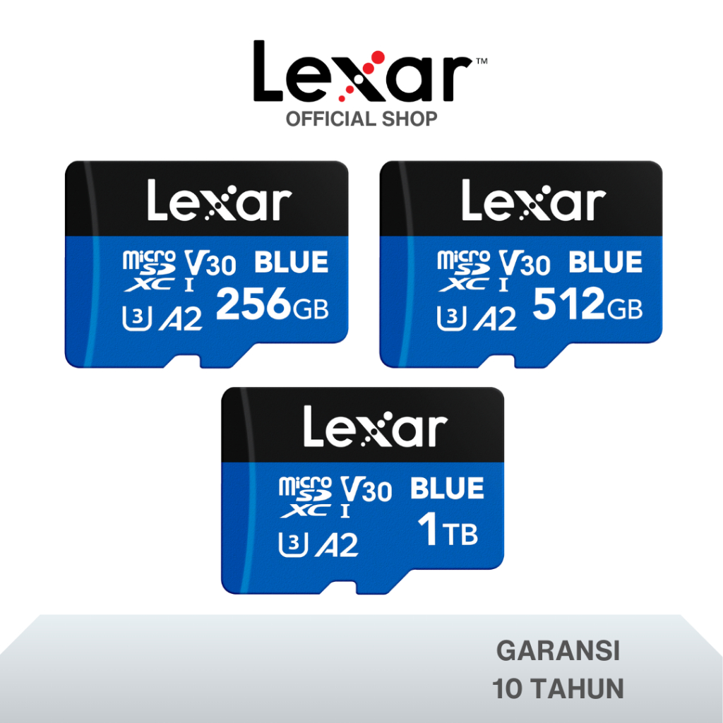 Jual Lexar Micro SDXC BLUE UHS-I Class 10 U3 Up to 160MB/s - 256GB ...