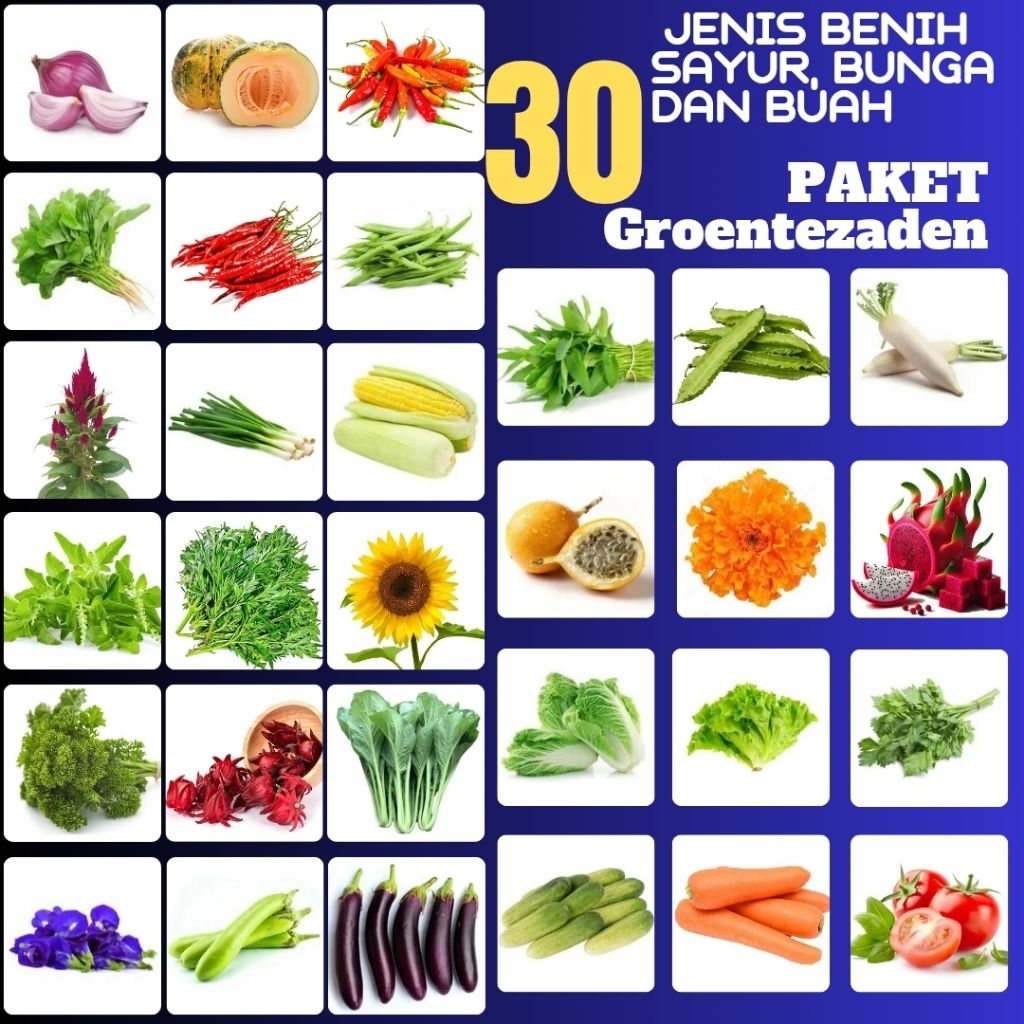 paket 30 jenis benih biji sayur bunga dan buah