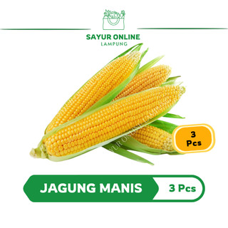 Jagung Manis 3 pcs