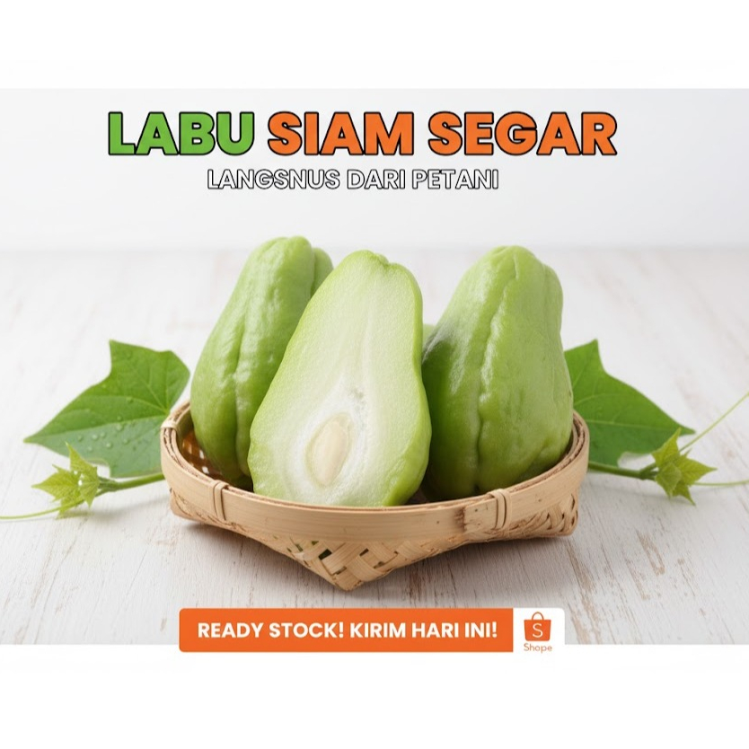 Jual Labu Siam Terlengkap & Harga Terbaru Juli 2026 | Shopee Indonesia