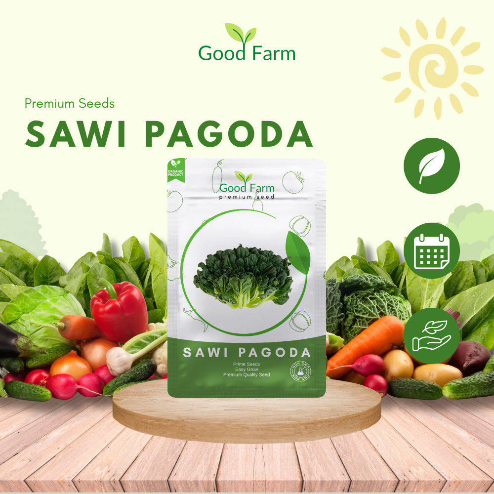 GoodFarm - Benih Sawi Pagoda Premium Kemasan Urban Farming