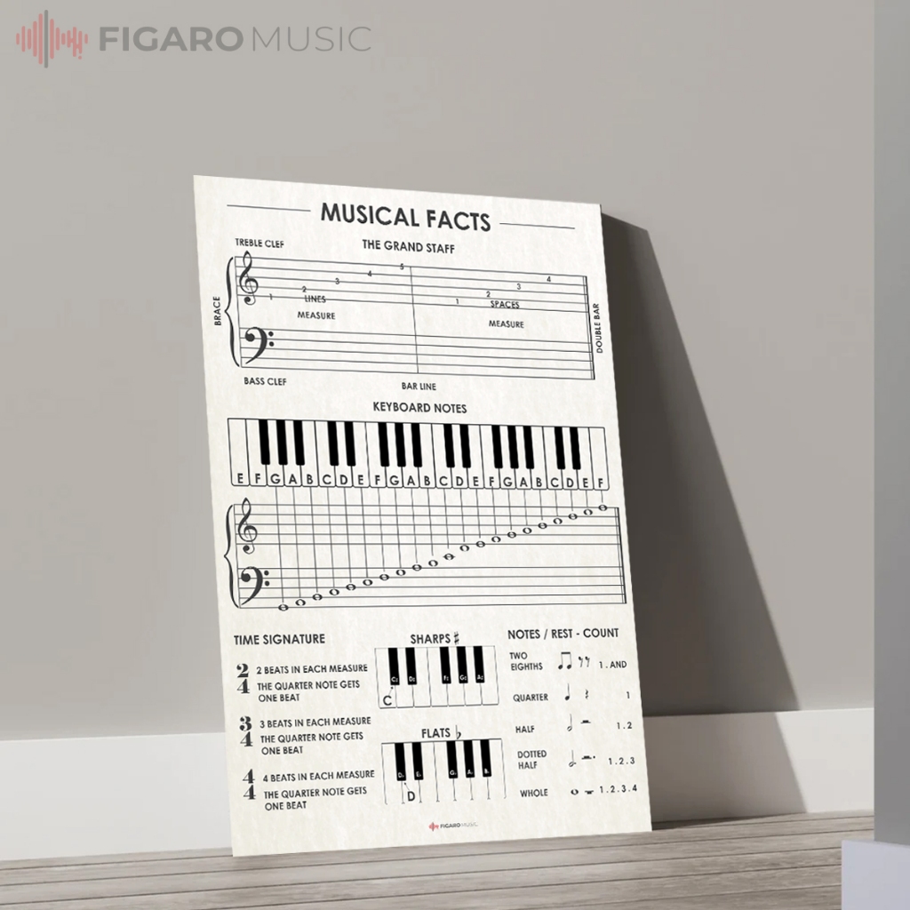 Jual Poster Musical Facts - Beginner Music Theory Poster: Grand Staff ...