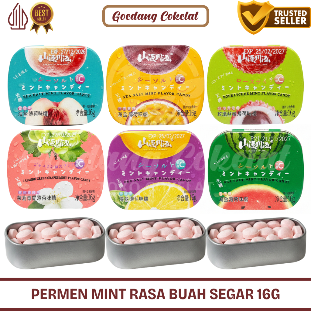 Jual Permen Viral Mint Kaleng Yamamoto 16g Aneka Rasa Buah Sea Salt ...