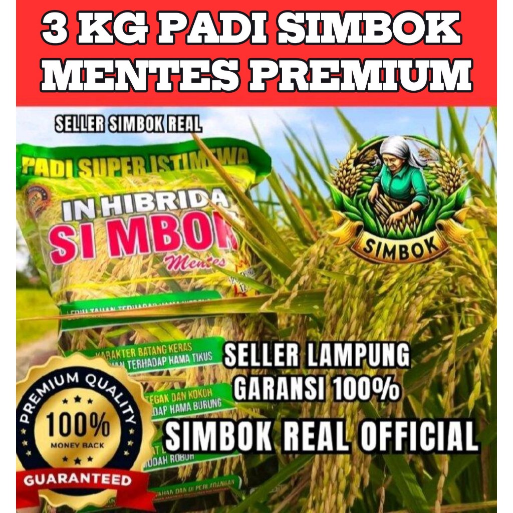 Jual Benih Padi Simbok Mentes Premium 3KG – Masa Panen 95–110 HST ...