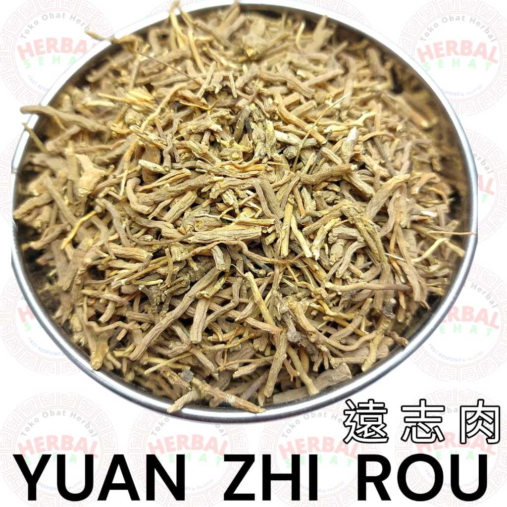 Jual Yuan Zhi Tong - Yuan Zhi Rou 25-50-100g - Yen Ci - Radix Polygalae ...